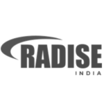 Radise US Magnifez Technologies Inc Dynamics 365 PowerApps development Company US India